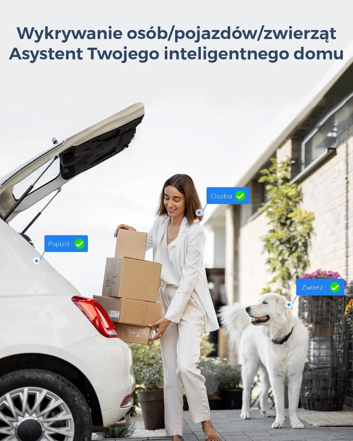 Reolink Kamera Bezpieczeństwa 4K PoE z Wykrywaniem Ludzi/Pojazdów, 5-Krotne Powiększenie, Kamera IP z Oświetleniem Punktowym, Kolorowe Alerty Ruchu, Gniazdo Kart microSD, RLC-811A Czarny