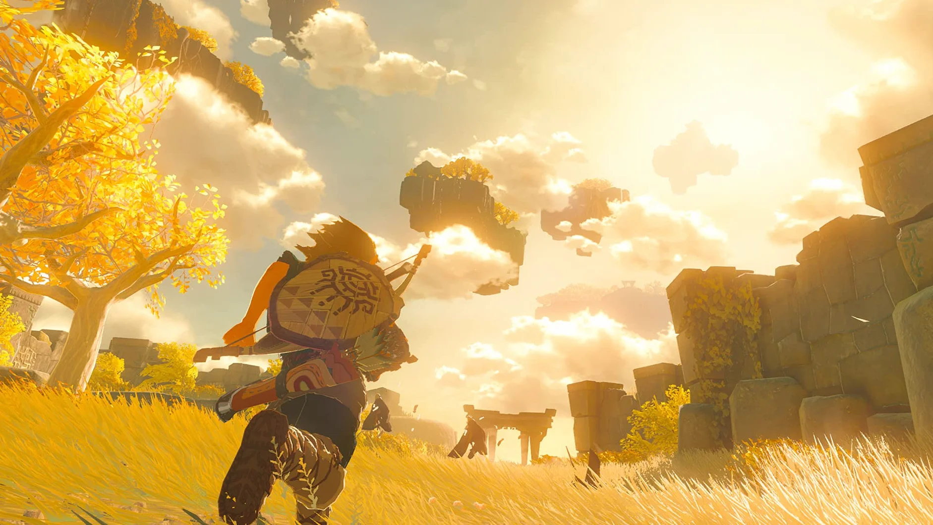 Nintendo The Legend Of Zelda: Tears Of The Kingdom Gra, Czarny