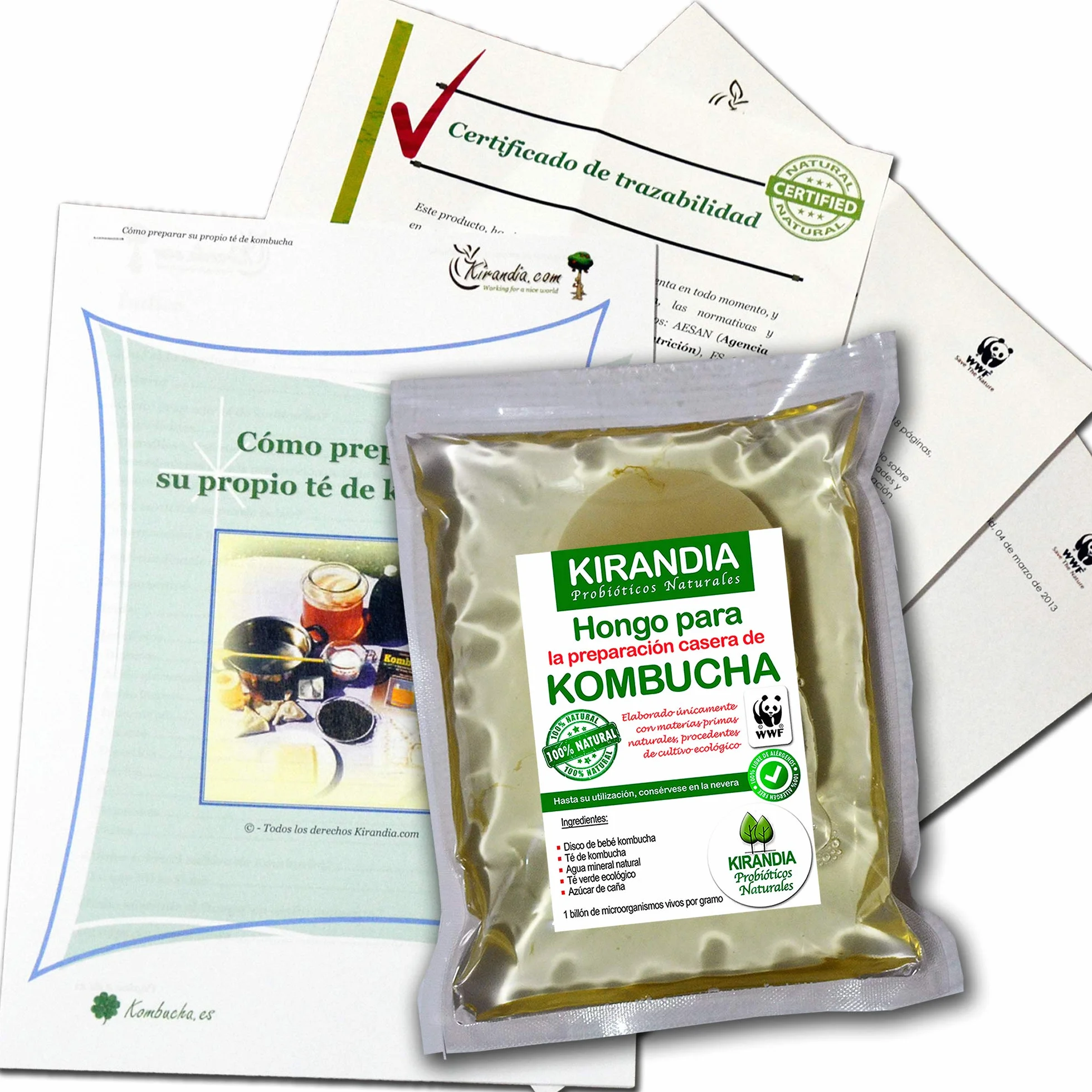 KOMBUCHA ŚWIEŻE DZIECKO KOMBUCHA, SCOBY KOMBUCHA - z rejestracją zdrowotną (RGSEAA) - Przygotuj własną organiczną herbatę Kombucha w domu