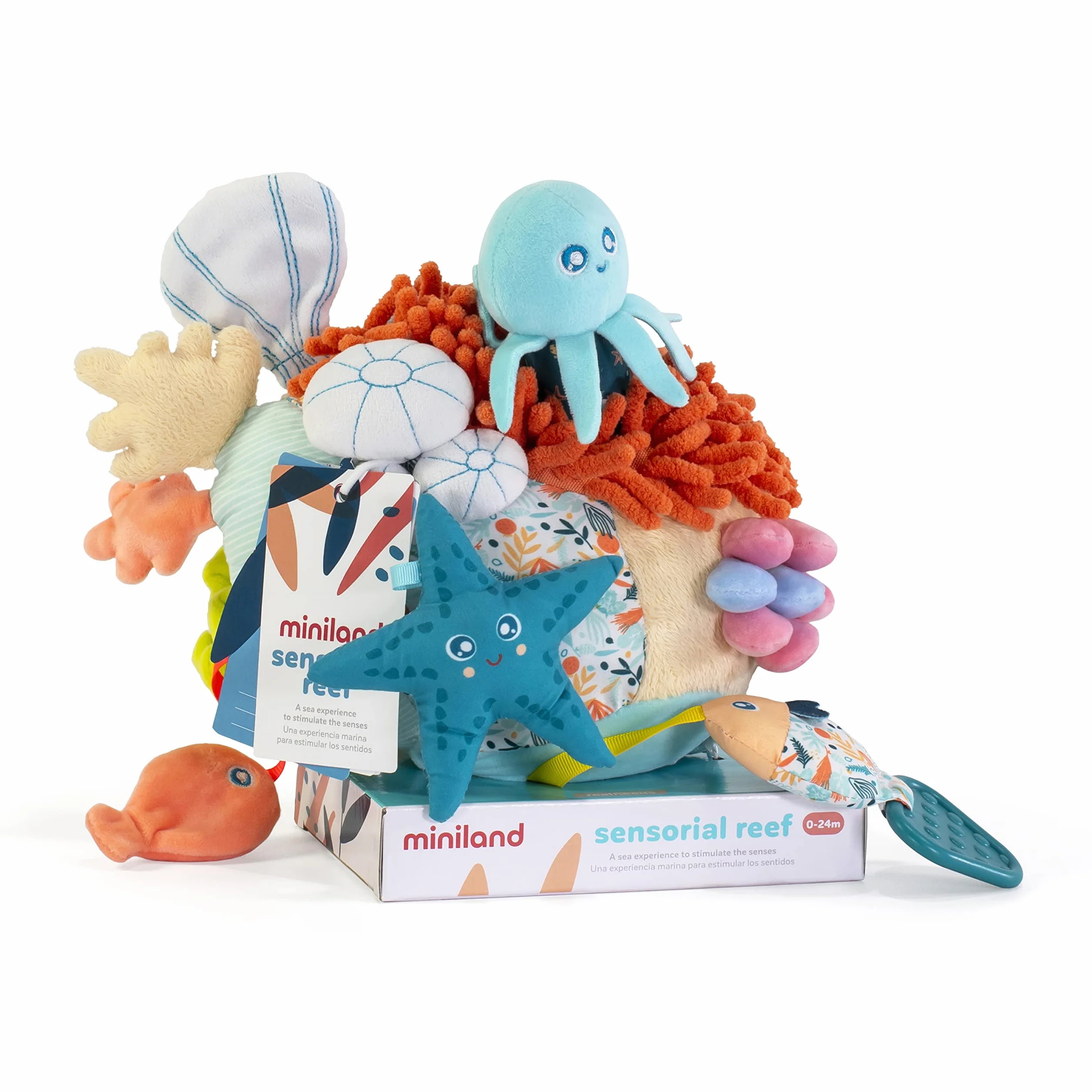 Miniland SENSORIAL REEF Zabawka Sensoryczna, Wielokolorowy, 0-18 Miesięcy