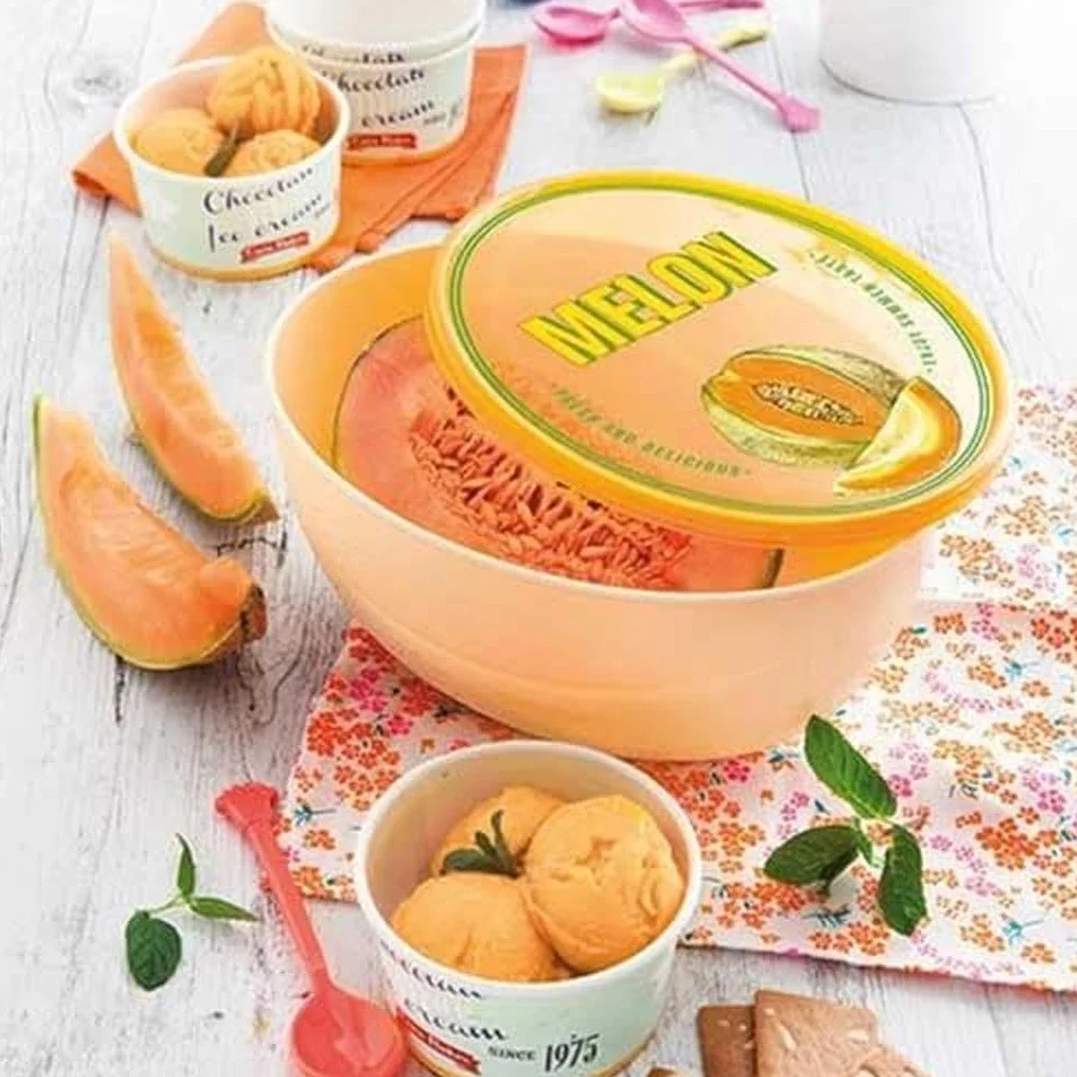 Snips 77138 Snisp Salva Melone Vintage pojemnik na żywność 2 l, 2 l, tworzywo sztuczne, brązowy