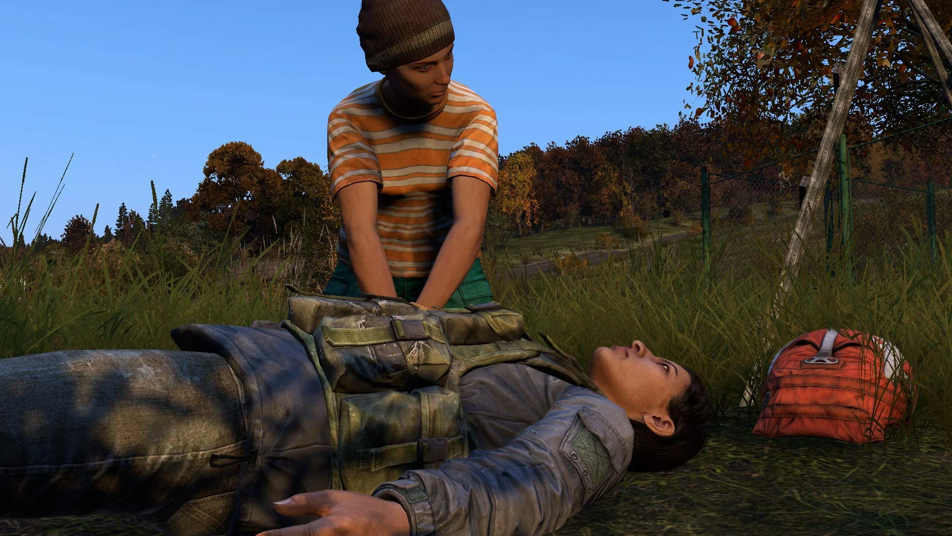 Dayz