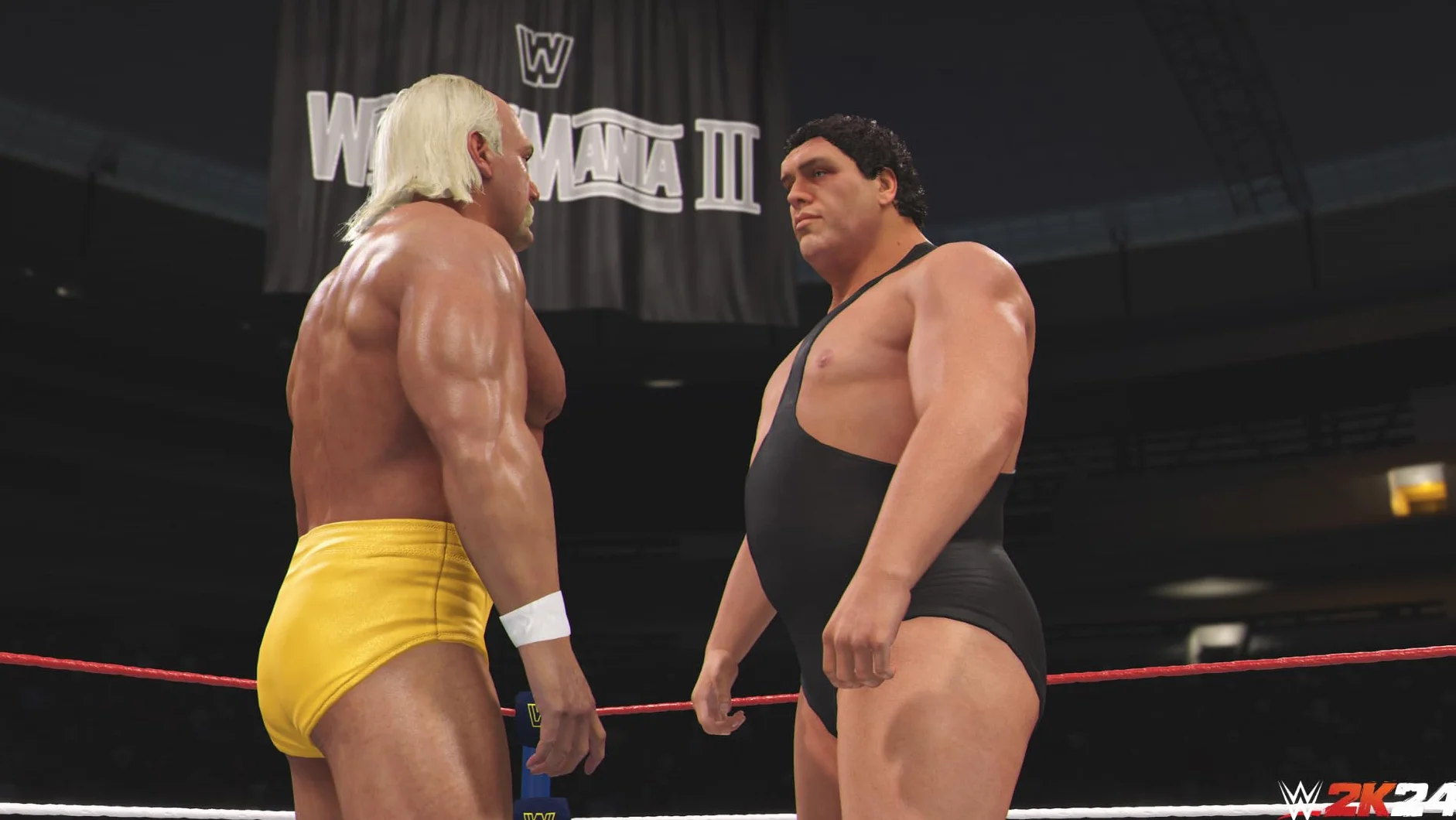 2K Games WWE 2K24 PS5 EDYCJA STANDARDOWA