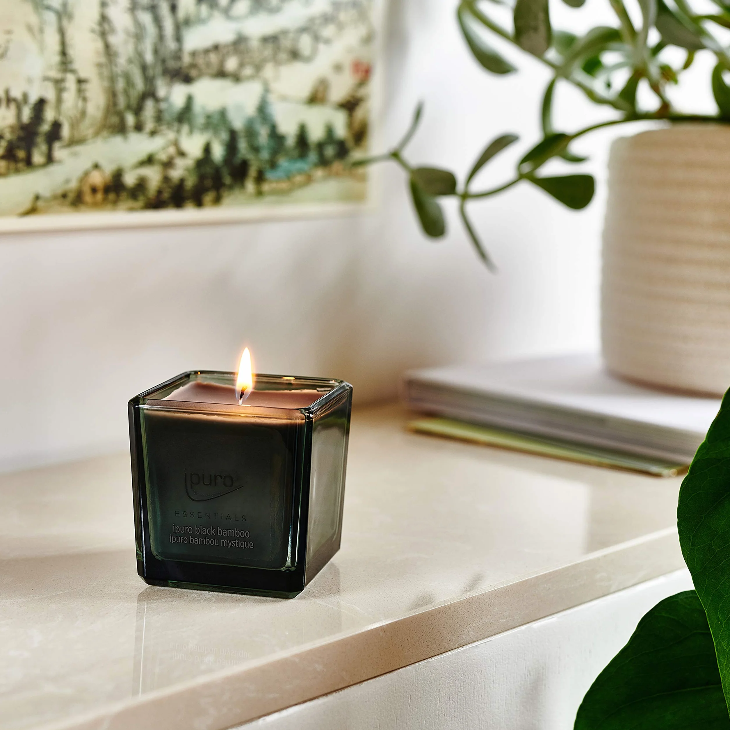 ipuro - Dekoracyjna świeca zapachowa Ipuro black bamboo – minimalistyczne i purystyczne świece zapachowe w szkle – intensywne świece zapachowe z zielonymi i drzewnymi nutami – stylowa świeca 125 g