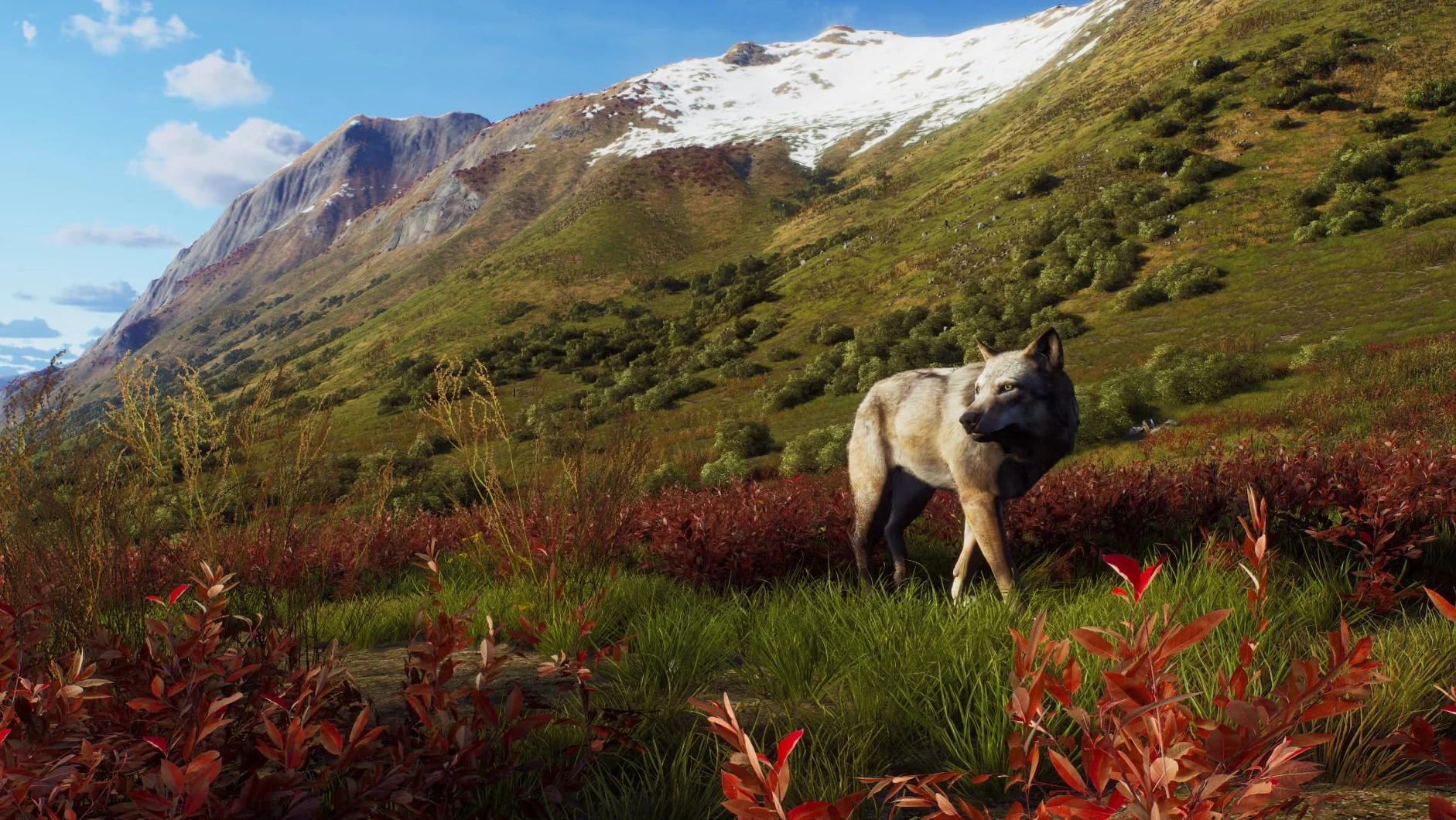 Way of the Hunter - Wild Expeditions - Xbox Series X