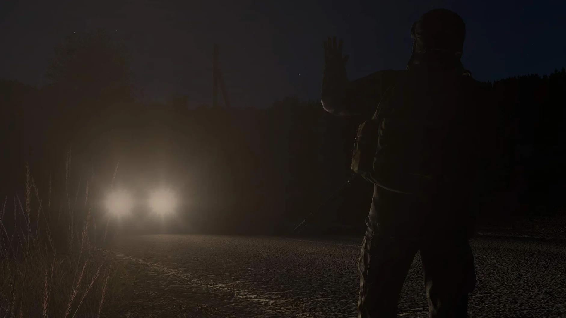 Dayz