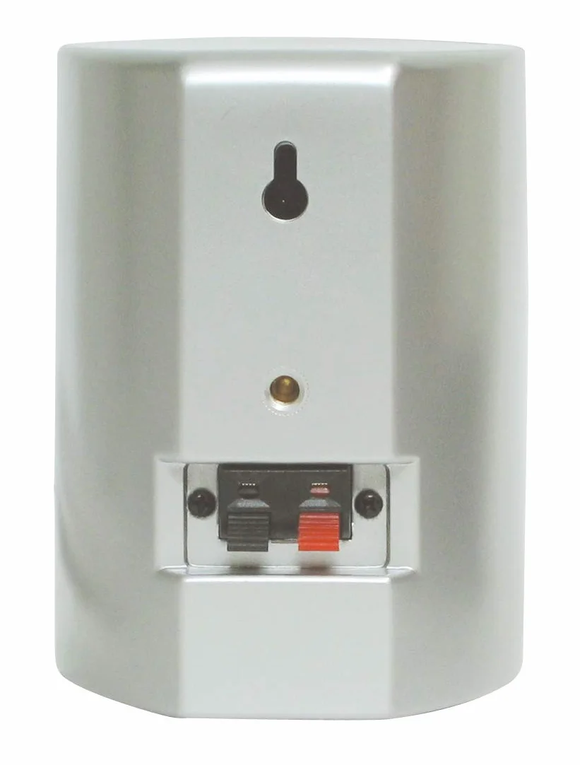 Dynavox AS-301 głośnik satelitarny, para, do kina domowego lub biura, kompaktowe pudełko surround, montaż ścienny, srebrny