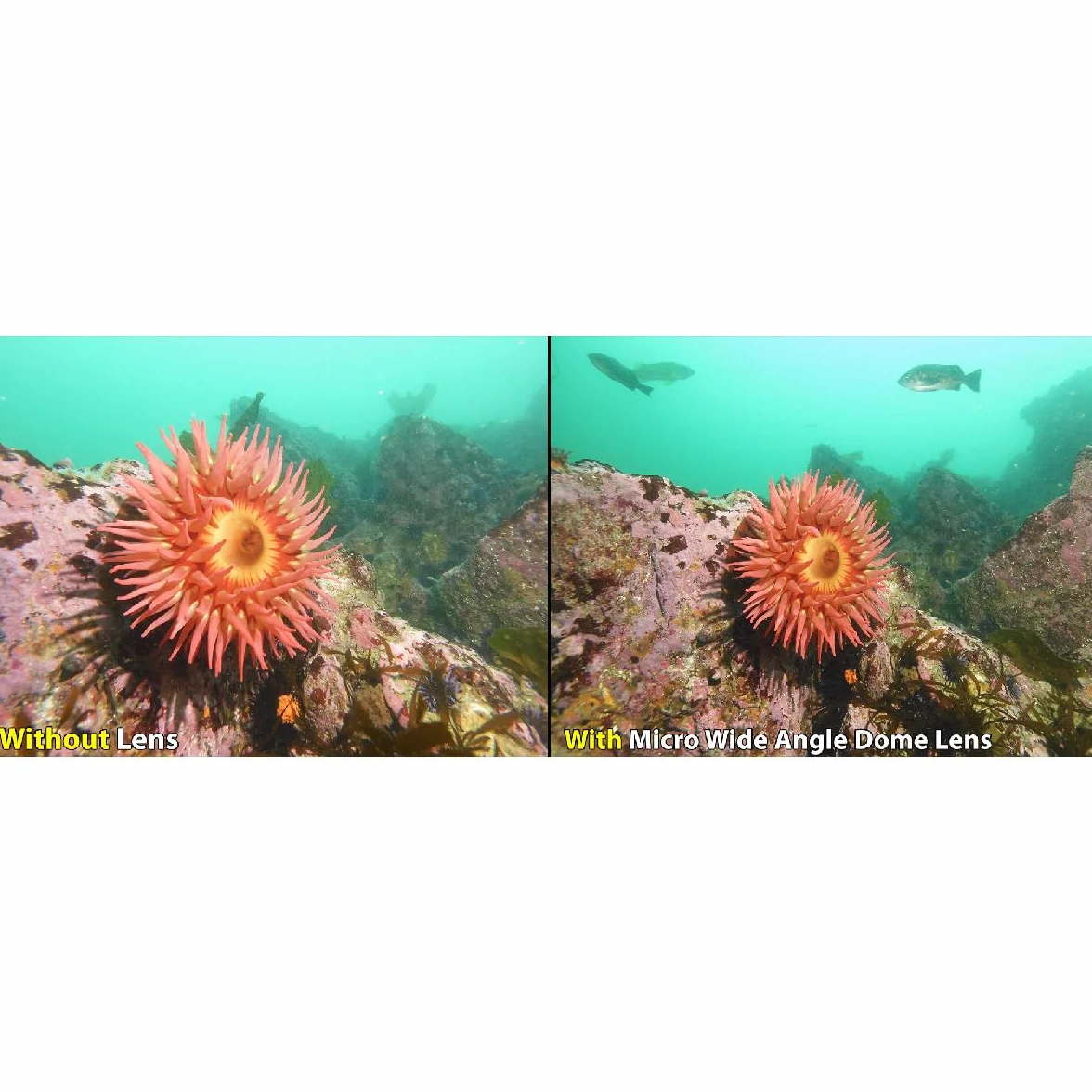 Sealife Ultra szerokok?tny obiektyw kopu?kowy do serii Micro i RM4K (w zestawie smycz i etui ochronne)