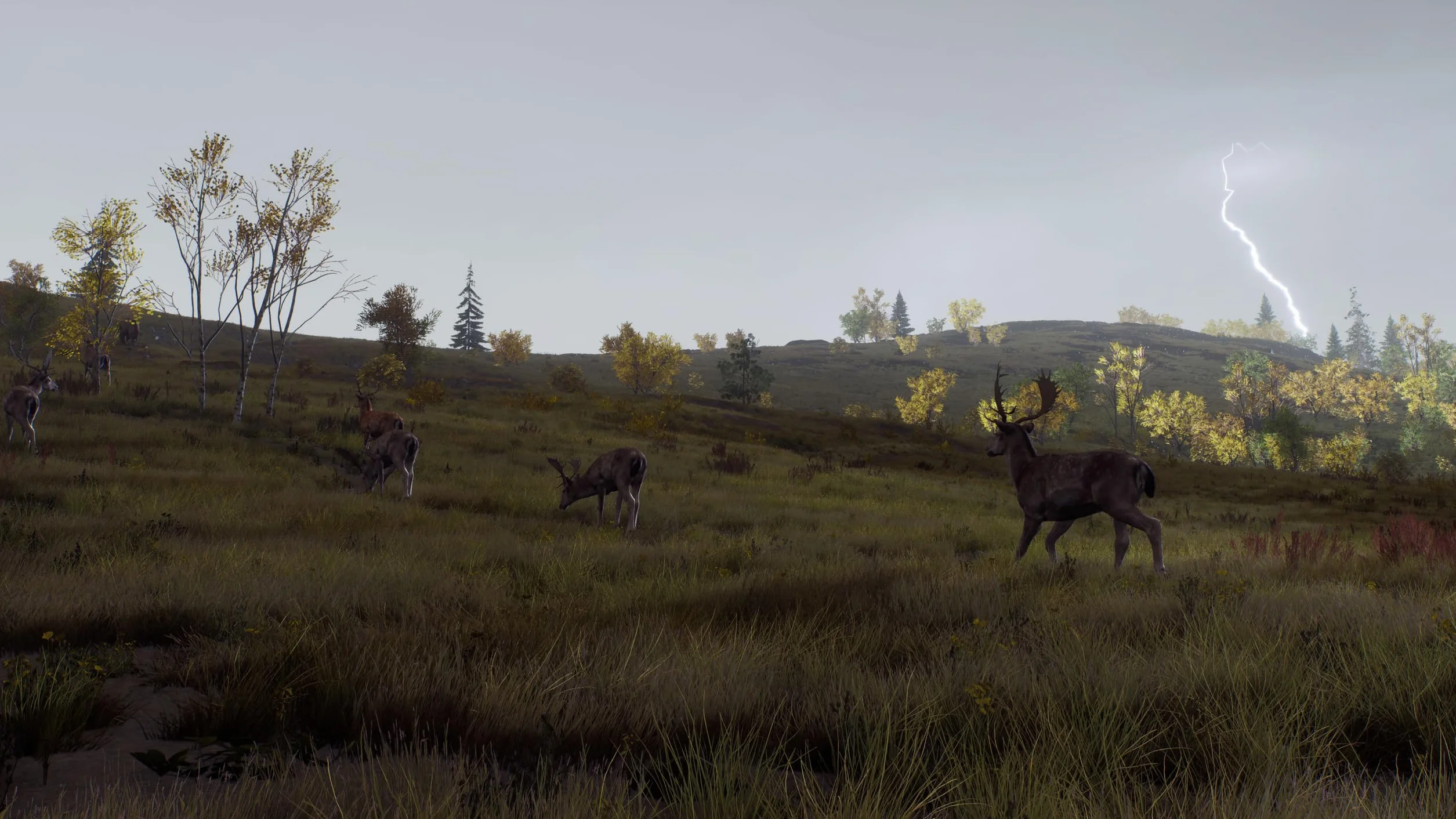 Way of the Hunter - Wild Expeditions - Xbox Series X