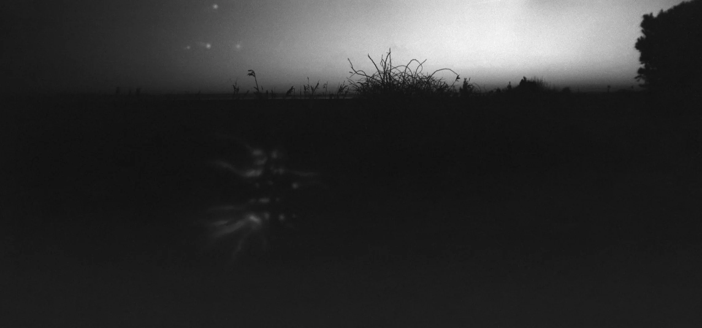Anton & HOLGA 120N Pan 6x12 Medium Format panorama (film nie wchodzi w zakres dostawy)
