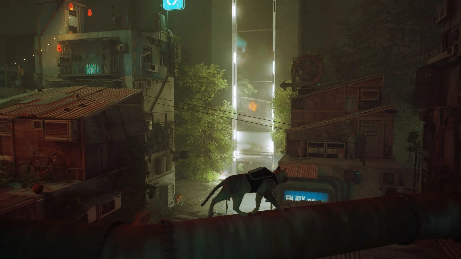 Stray