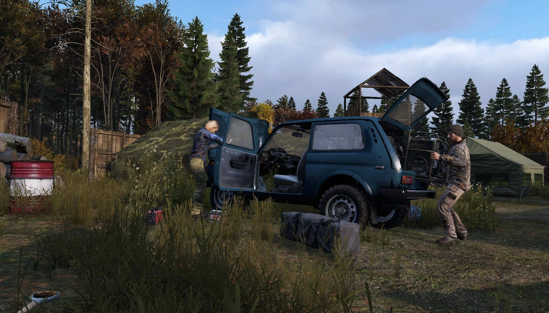Dayz