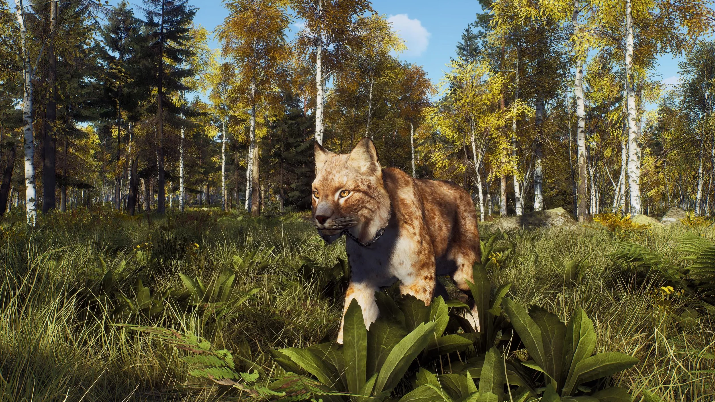 Way of the Hunter - Wild Expeditions - Xbox Series X