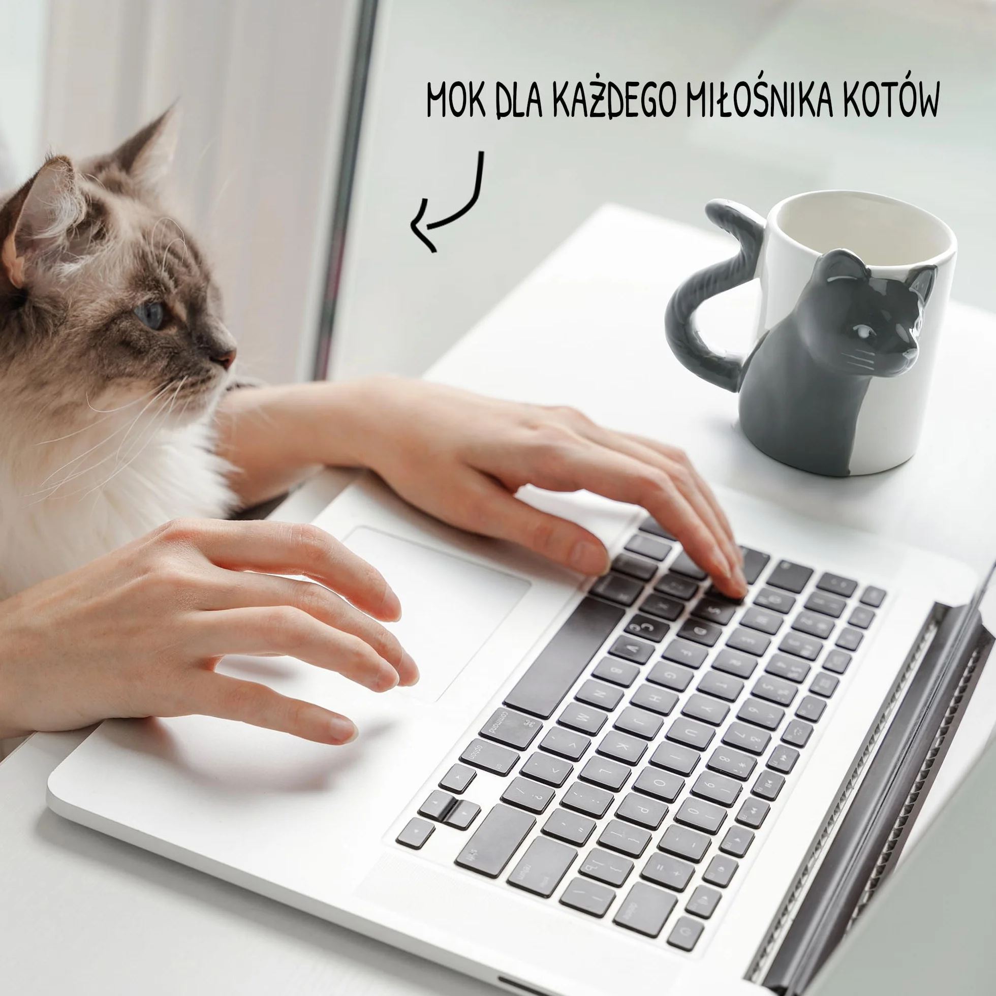 MIAMIO Zestaw kubków z motywem całujących się kotów, kolekcja Signature