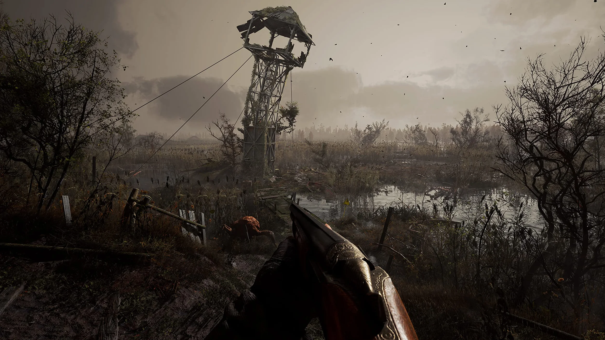 S.T.A.L.K.E.R. 2: Serce Czarnobyla (Xbox Series X)
