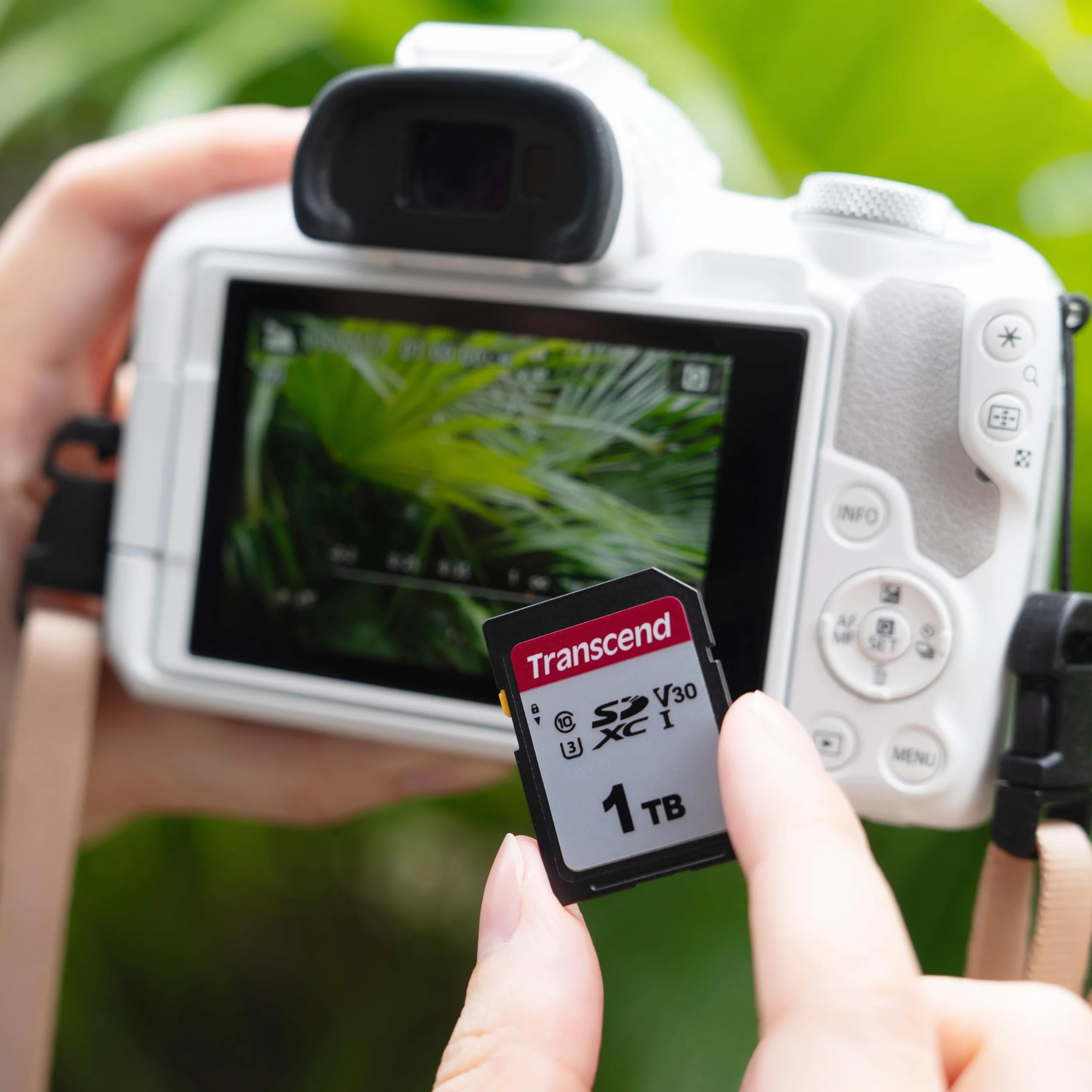 Transcend Highspeed 128 GB SDXC karta pamięci UHS-I U3, Video Speed Class V30 do 4K Ultra HD TS128GSDC300S-E2