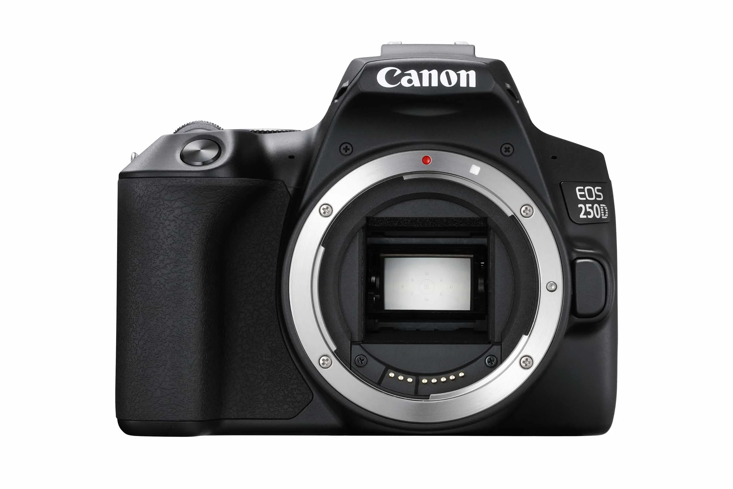 Canon EOS 250D Lustrzank Cyfrowa, Vari-Angle, czujnik APS-C, Dual Pixel CMOS AFs, Czarny, 24.1 MP