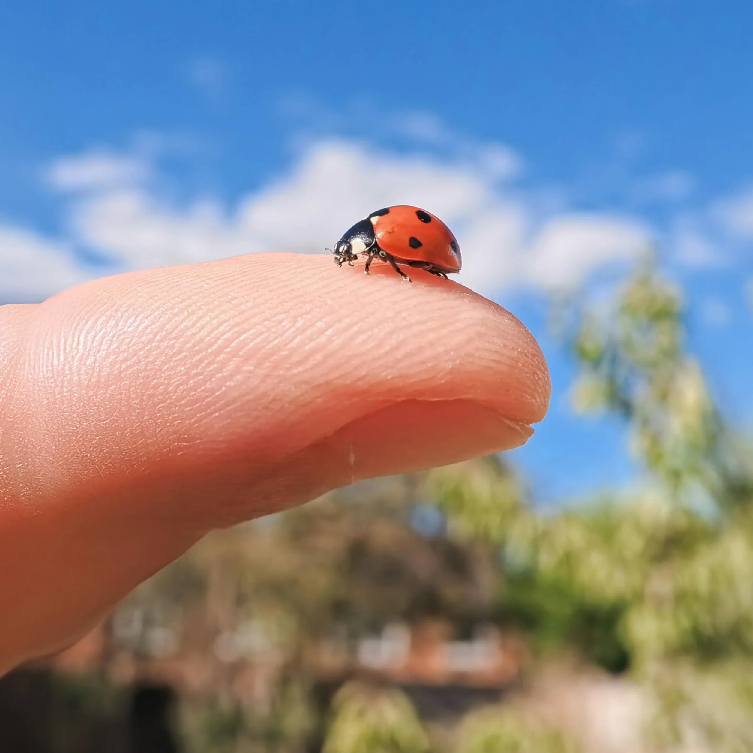 Insta360 Obiektyw GO Ultra Micro