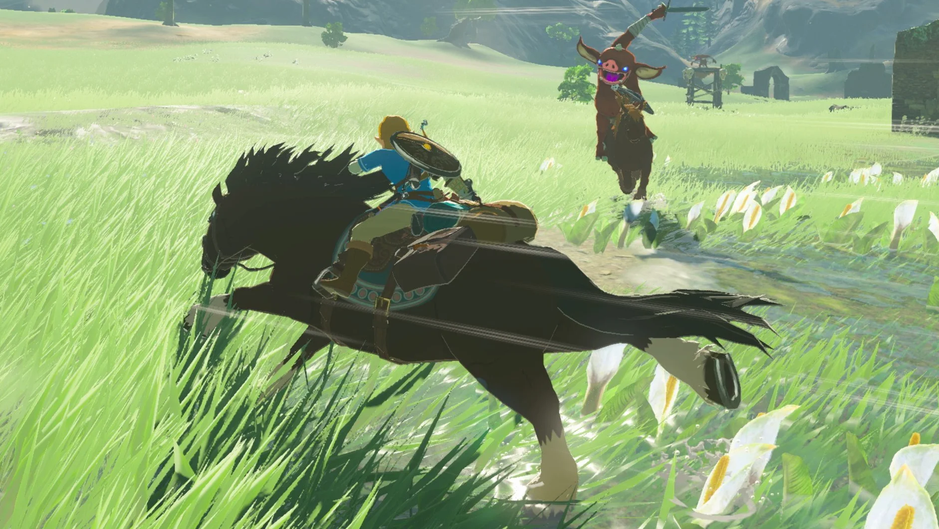The Legend of Zelda: Breath of the Wild [Nintendo Switch] – wersja niemiecka