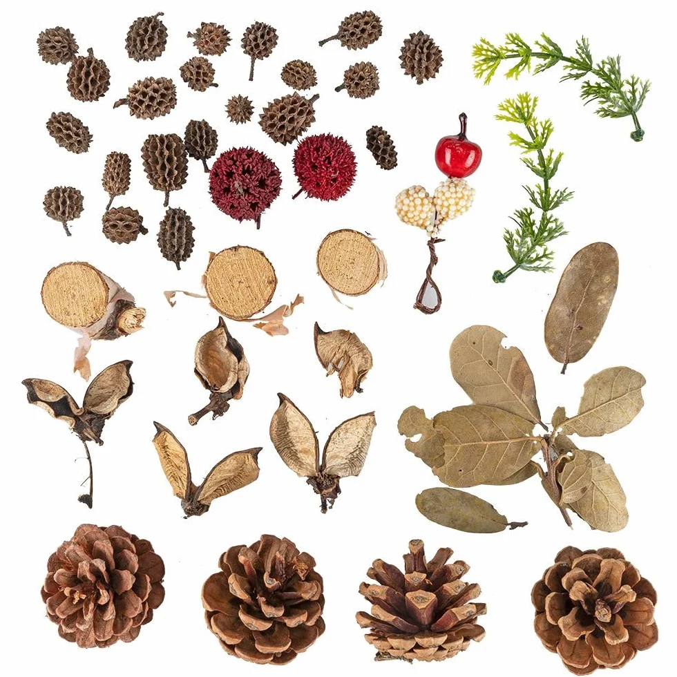 Ideen mit Herz Potpourri Waldmix | 80 g | Mieszanki sztucznych gałęzi i prawdziwych naturalnych materiałów, takich jak szyszki sosnowe, liście, drewno świerkowe, brzoza, łupiny żołędzi i inne.