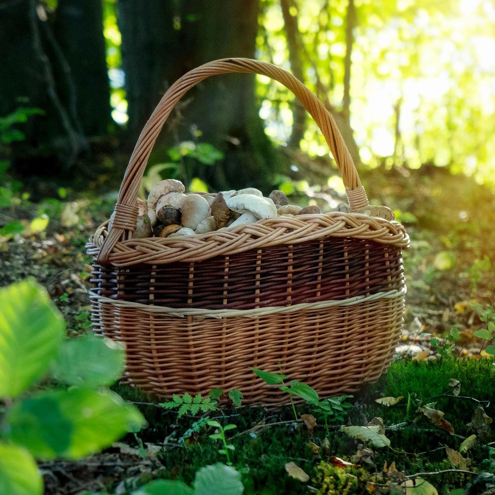 KADAX Kosz wiklinowy owalny 30x43cm, solidny uchwyt i gęsty splot, stabilny podczas noszenia, do zakupów, pikniku i grzybobrania, mieści butelki i zbiory z ogrodu