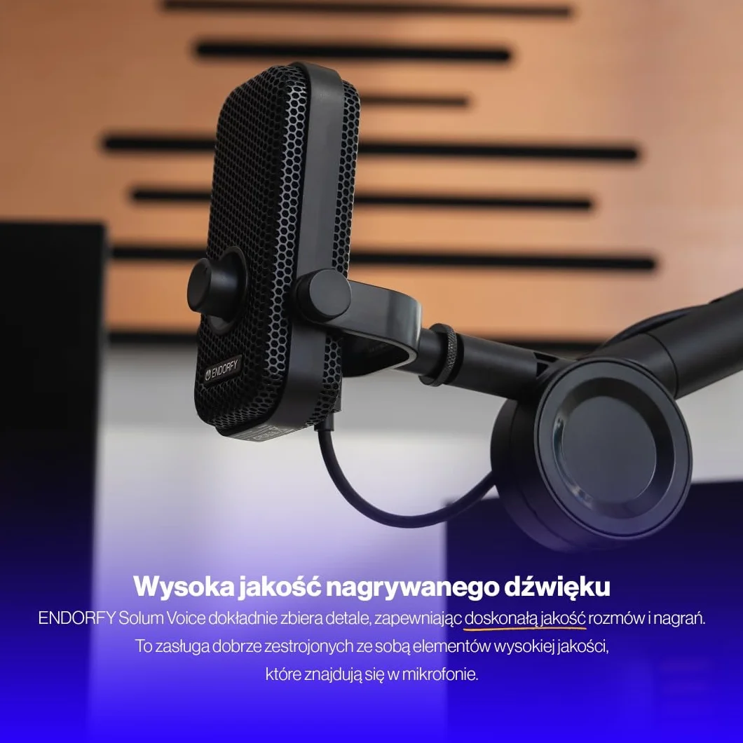 ENDORFY Solum Voice Mikrofon USB C RGB do streamingu i podcastów, kardioidalny, regulowane ramię, monitoring słuchawkowy, GAIN, MUTE, Plug & Play, PC PS5