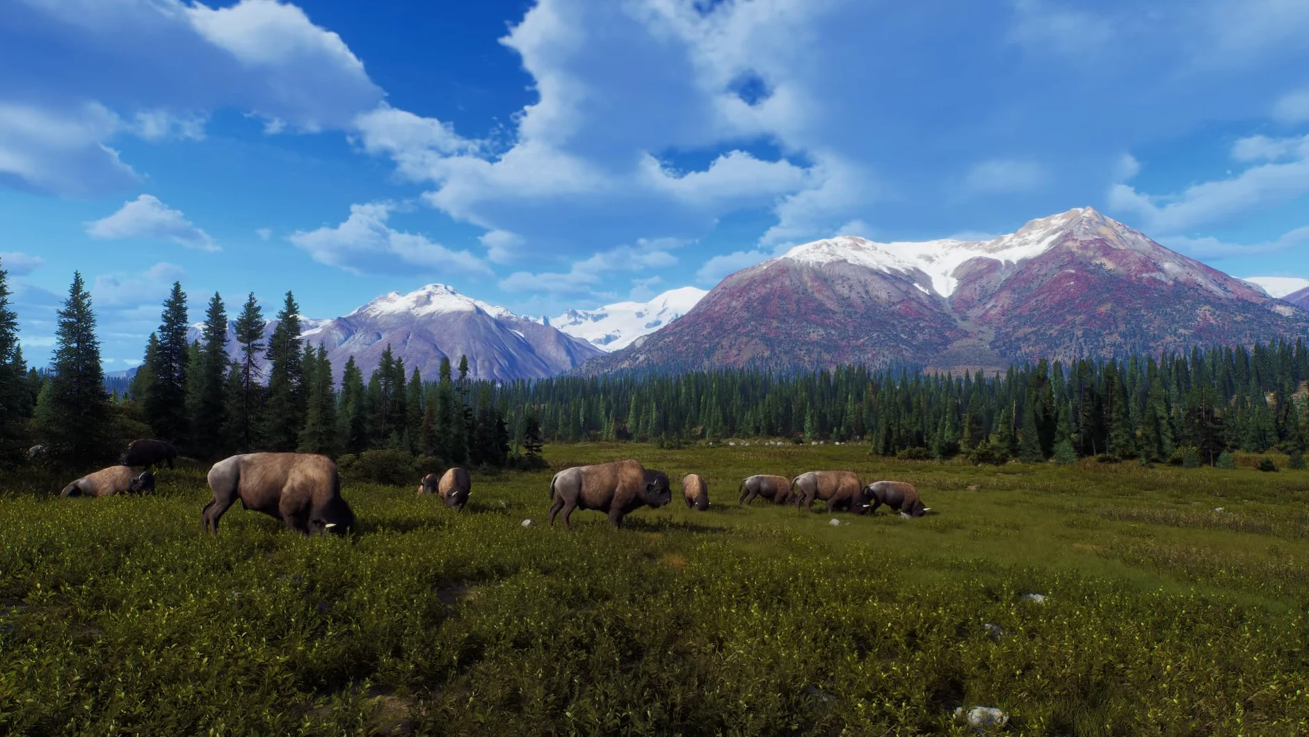 Way of the Hunter - Wild Expeditions - Xbox Series X